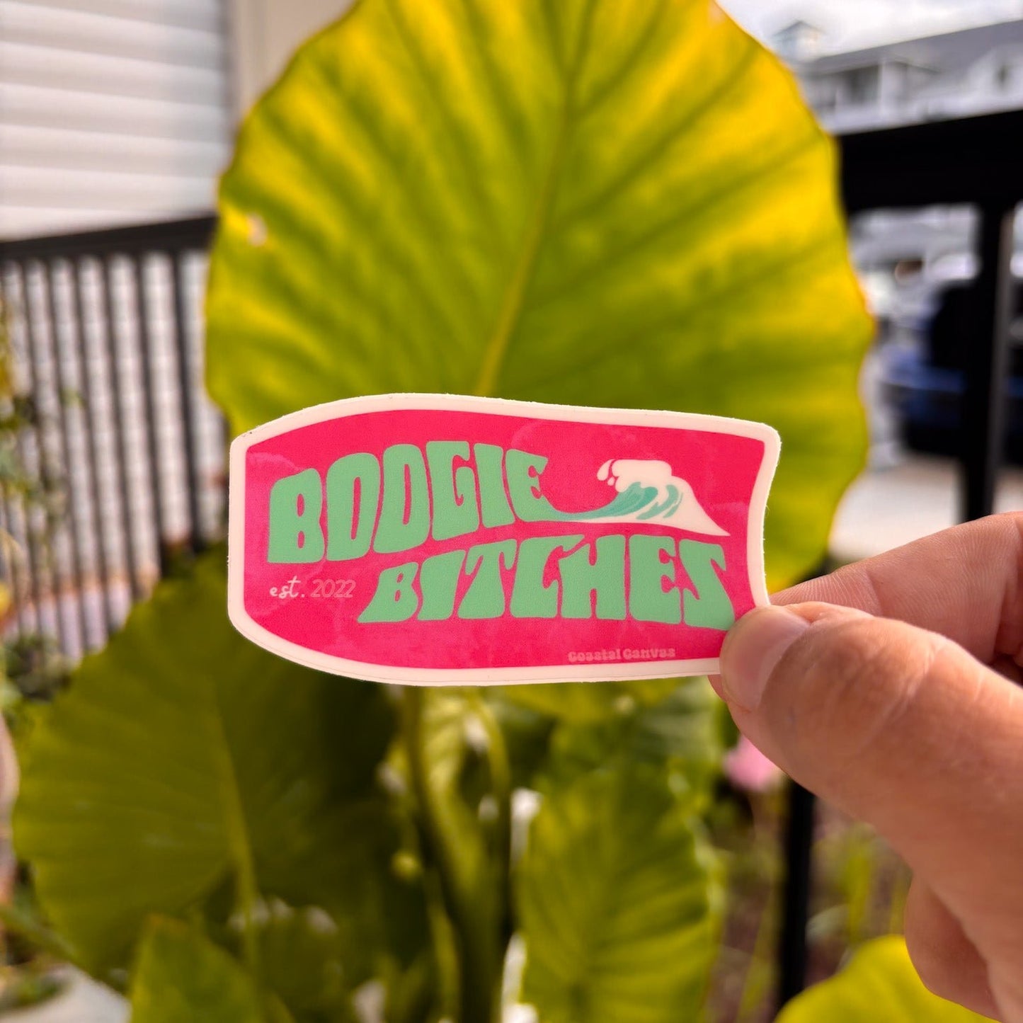 Boogie B*tches Sticker