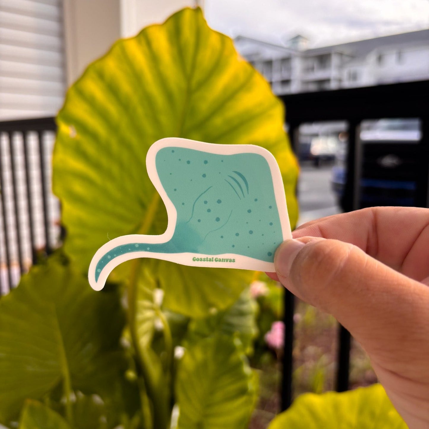 Stingray Sticker