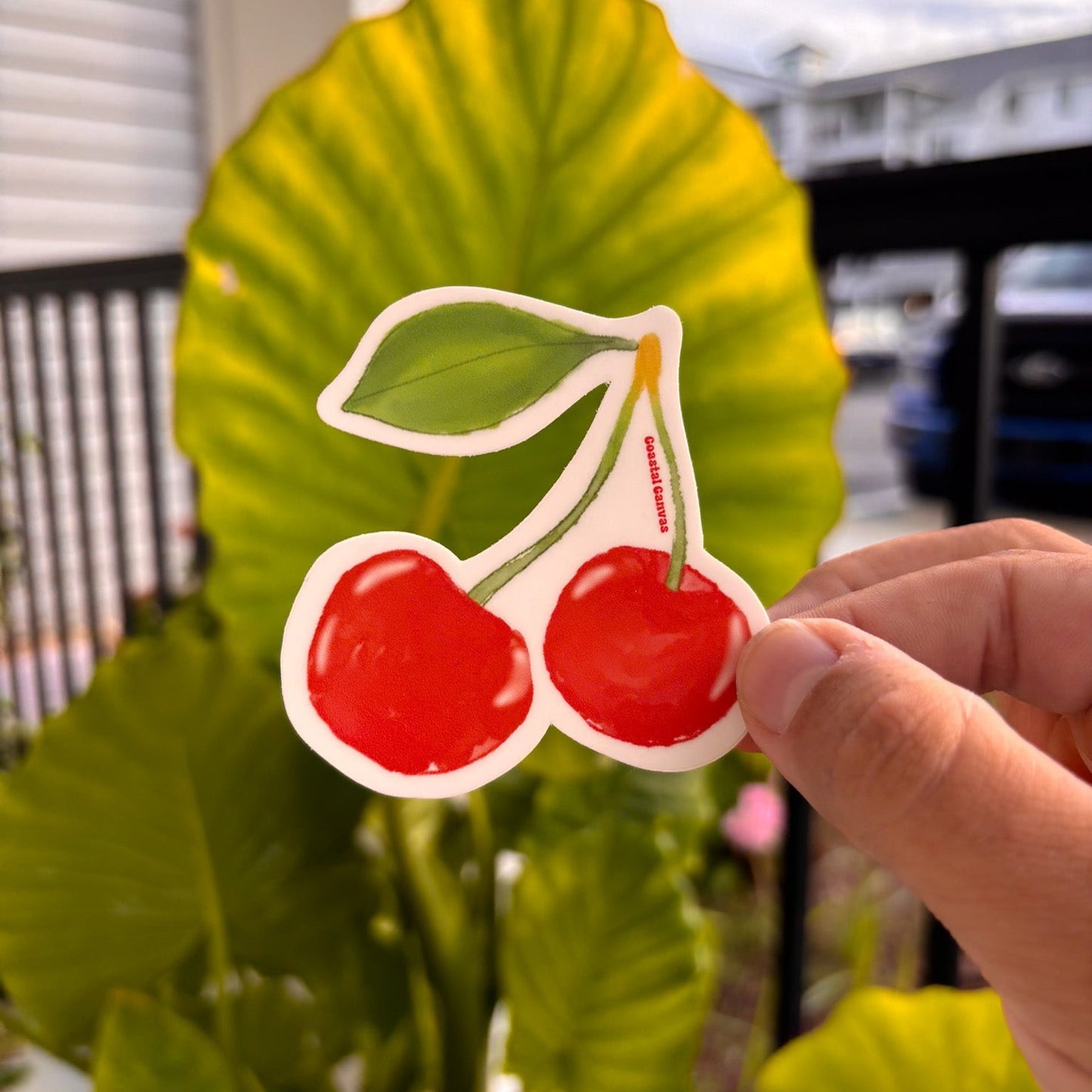 Cherry Sticker