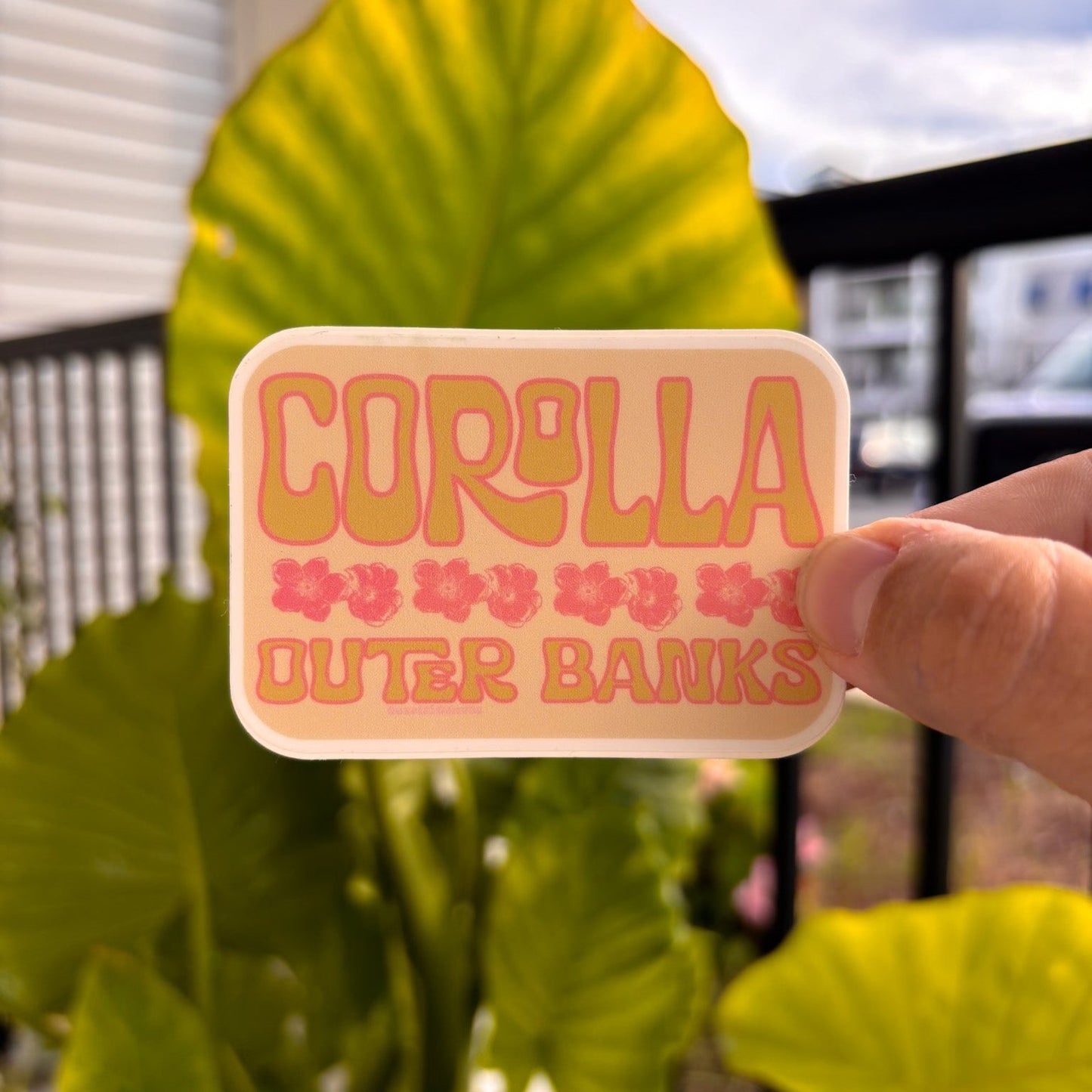 Corolla OBX Sticker